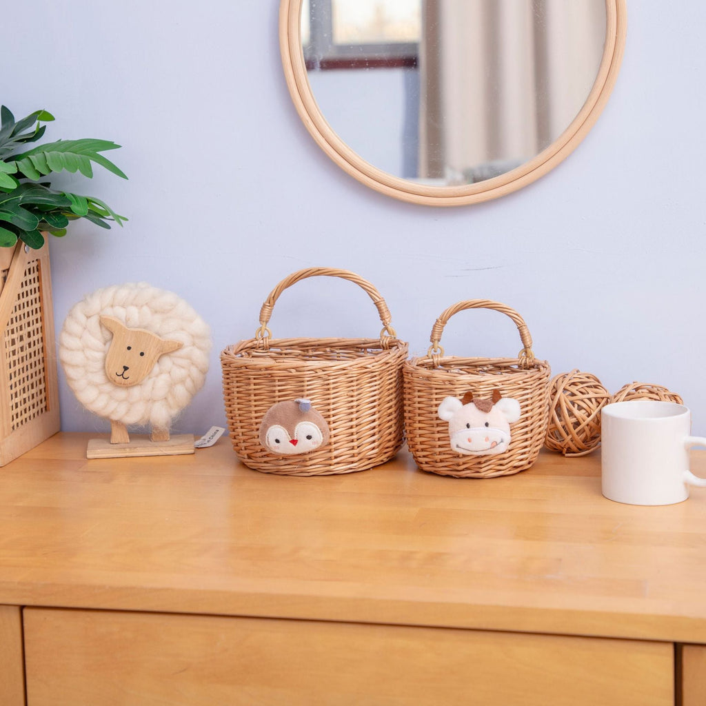 Handwoven Decorative Wall Basket Bowlift