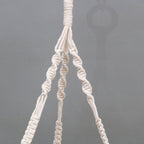 Hanging Plant Shelf Bowlift