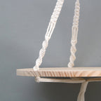 Hanging Plant Shelf Bowlift