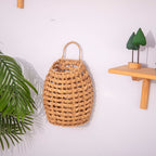 Handwoven Decorative Wall Basket Bowlift