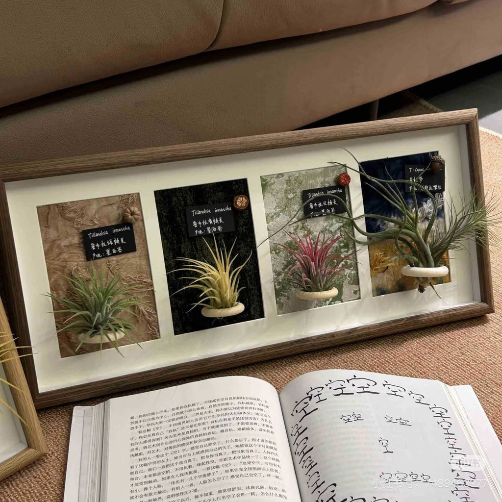 Decorative Wall-Mounted Plant Display Frame for Home