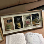 Decorative Wall-Mounted Plant Display Frame for Home