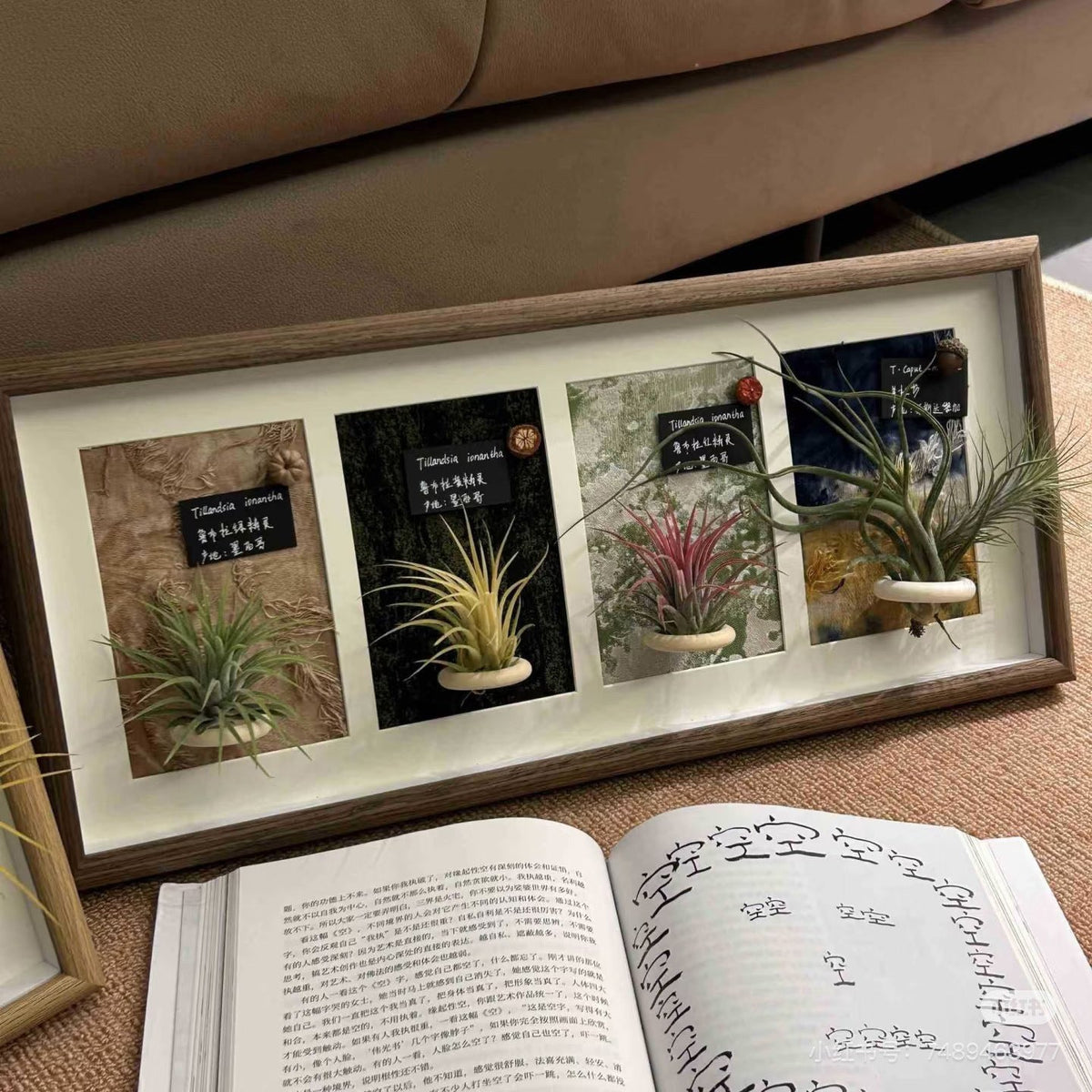 Decorative Wall-Mounted Plant Display Frame for Home