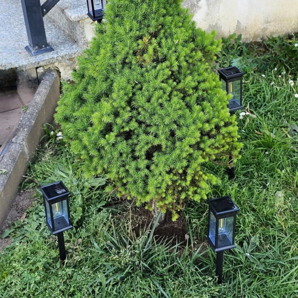 Zevolim| Wireless Solar Garden Lantern – GlowPath
