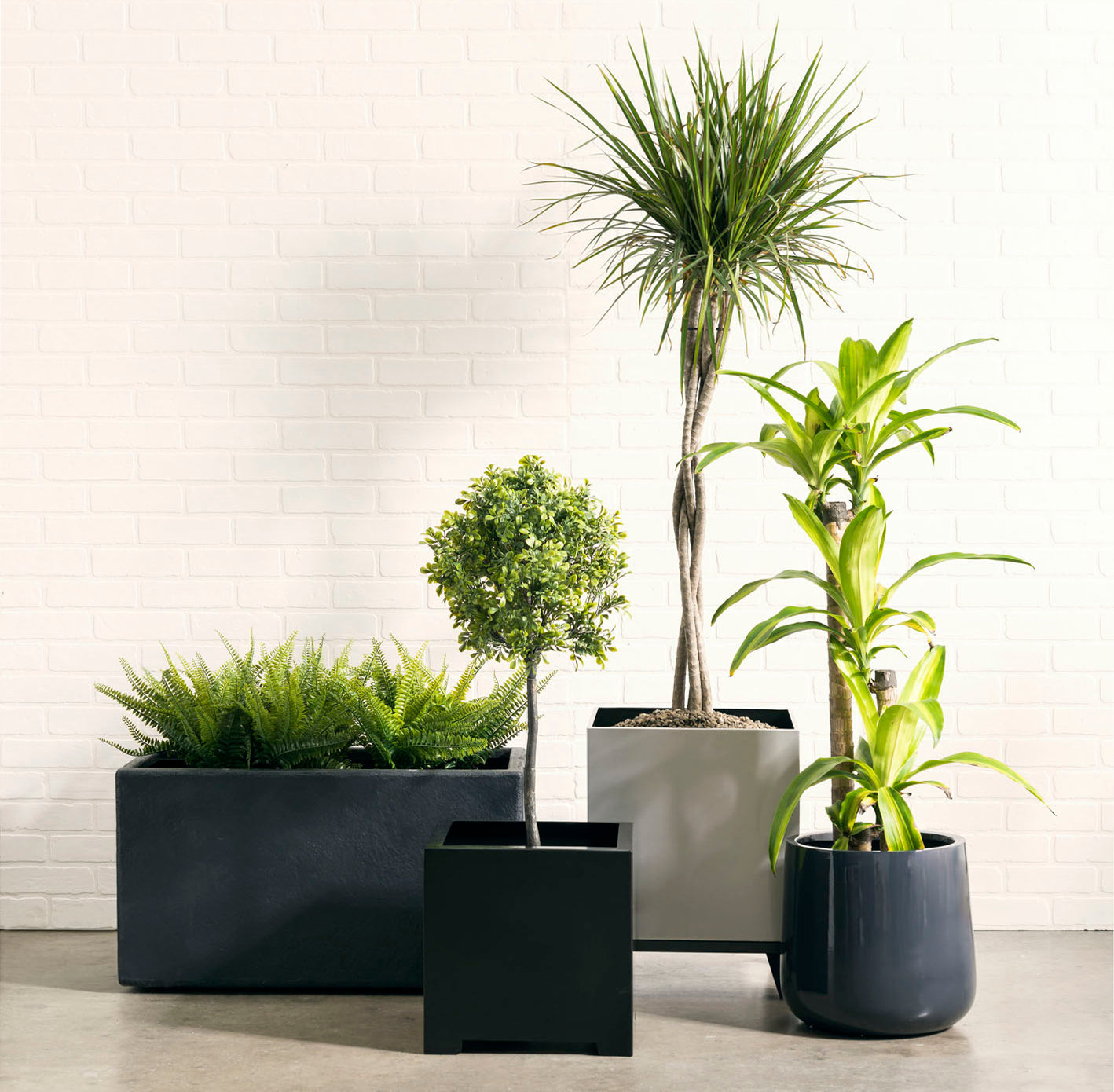 Alora Steel Cube Planter - Architectural Heavy Duty (16 Guage) Indoor / Outdoor Block (10" / 14" / 18" / 23" Square)