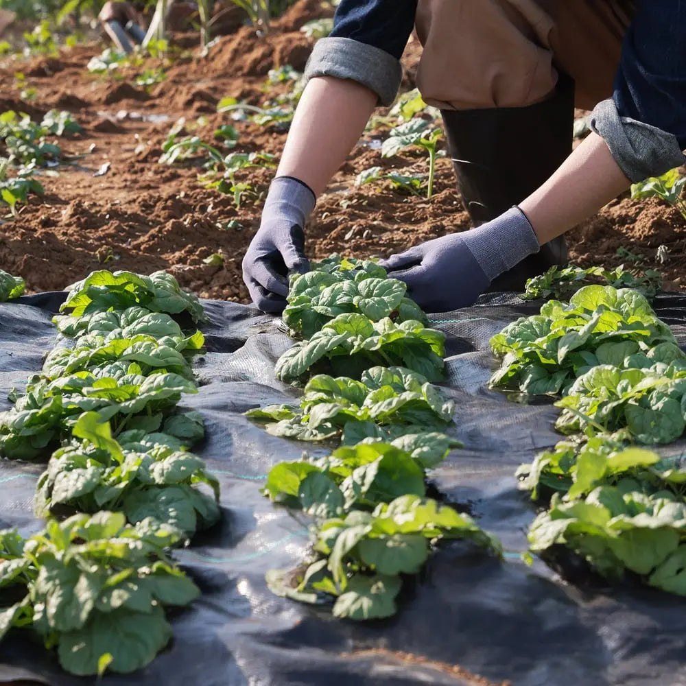 Zevolim| Premium Weed Fabric – Long-lasting pRedection for your garden