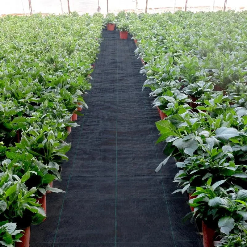 Zevolim| Premium Weed Fabric – Long-lasting pRedection for your garden