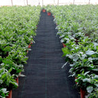 Zevolim| Premium Weed Fabric – Long-lasting pRedection for your garden