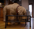 Baron Double Diner - Modern Wrought Iron, Mission Style Elevated Dog Bowl Stand (5.5" / 8" / 10" / 15" / 18")