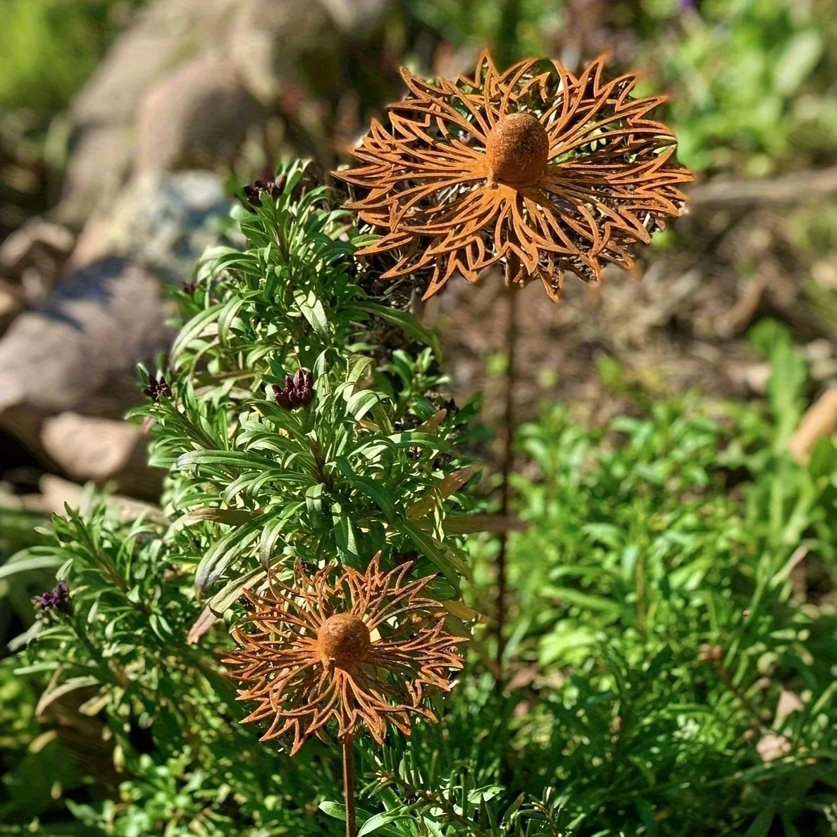 Zevolim| FLORUSTA Garden Stake Bluebonnet | Rust Look Metal | Rustic Garden Decor