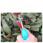 Zevolim| Easy Gardening Fruit Picking Scissors