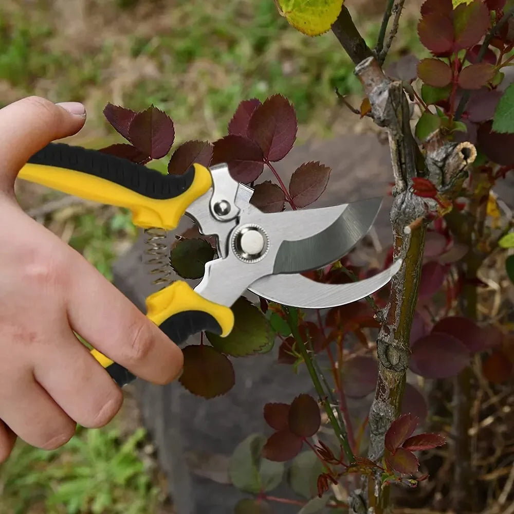 Zevolim| PrecisionCut Pruning Shears | Stainless Steel Garden Scissors for Trimming