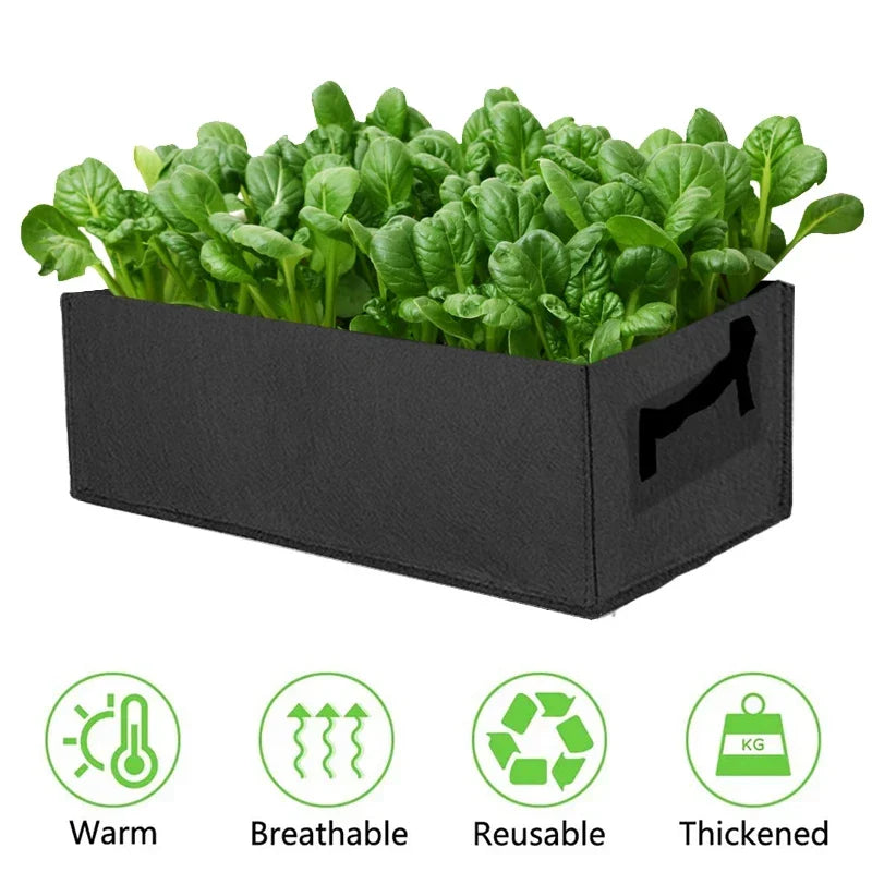 Zevolim| Foldable storage box made of felt for plants with handles