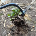 Zevolim| Multifunctional Steel Garden Weeding Tool