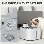 Wake & Flow Wireless Cat Water Fountain