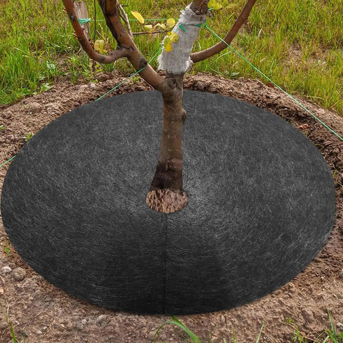 Zevolim| Weed fleece tree disk – Breathable root protection mat for garden and plants