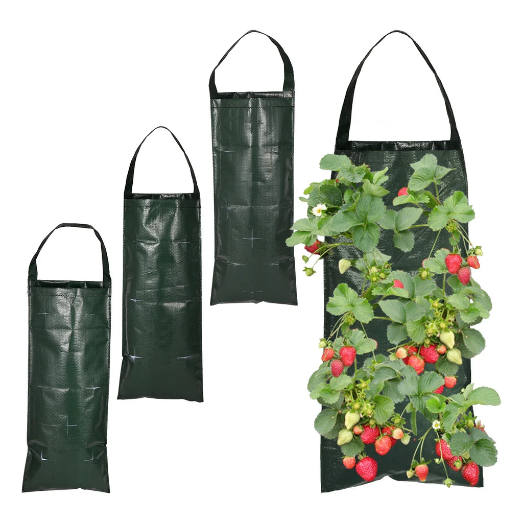 Zevolim| VertiBloom Wall Planting Bag for Strawberries & Herbs | 6/8/10 Pockets | Vertical Garden Planting Bag made of PE for Indoor & Outdoor