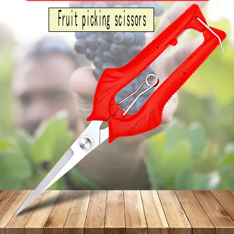 Zevolim| GardenSharp Precision Garden Shears | Ergonomic & Sharp | For Fruit Trees, Bonsai & Ornamental Plants