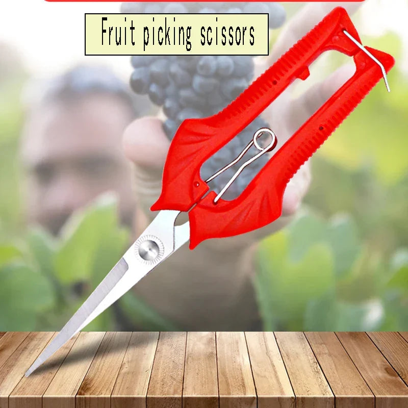 Zevolim| Schnittwerk Garden Shears | Precise Cutting for Fruit Trees & Bonsai | Ergonomic & Sharp | For Harvesting & Pruning