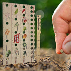 Zevolim| Wood Plant Ruler – Multifunctional Seed Measuring Tool for Garden