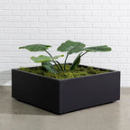 Dharti Low Profile Fiberglass Cube Planter - Modern Block Planter, Garden Bed Square (30" L x 30" W x 12" H)