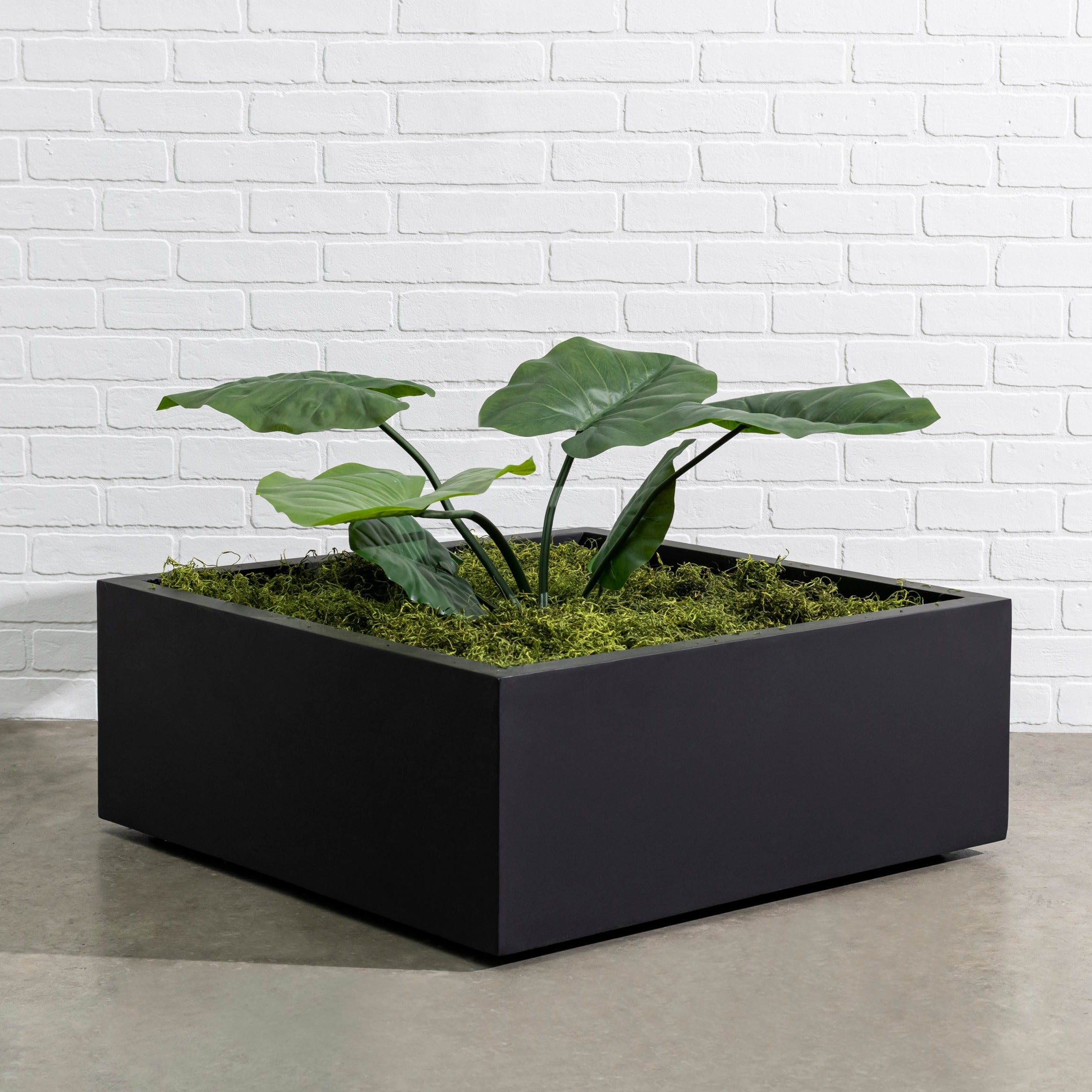 Dharti Low Profile Fiberglass Cube Planter - Modern Block Planter, Garden Bed Square (30" L x 30" W x 12" H)