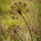 Zevolim| Florandis Metal Garden Stake Flower | Decorative Stake for Balcony, Bed & Plant Pot | Weatherproof & Detailed