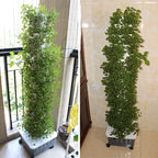 Zevolim| Green Life Vertical Hydroponic Home Gardening Kit