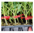Zevolim| Plastic Refinement Clips for Garden Plants – Ideal for Vegetables and Plant Care