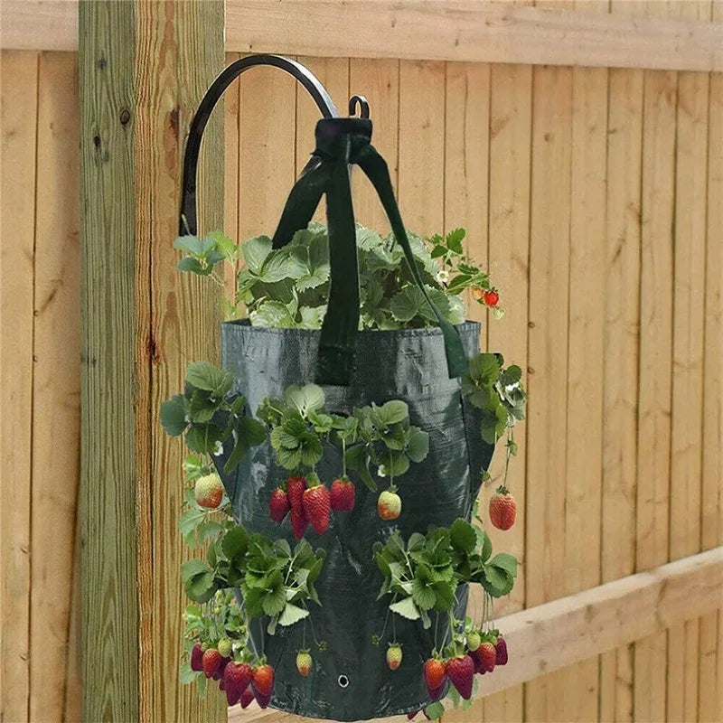 Zevolim| GrowFlex Plant Bag | Breathable & Waterproof | Perfect for Balcony and Garden