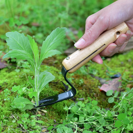 Zevolim| WeedSlayer™ Effortless Garden Maintenance