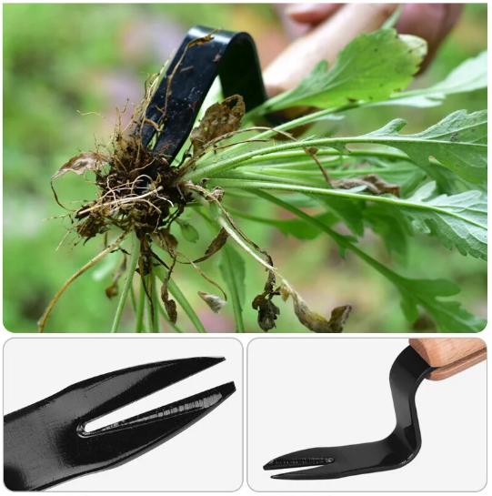 Zevolim| WeedSlayer™ Effortless Garden Maintenance