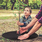 Zevolim| Weed fleece tree disk – Breathable root protection mat for garden and plants
