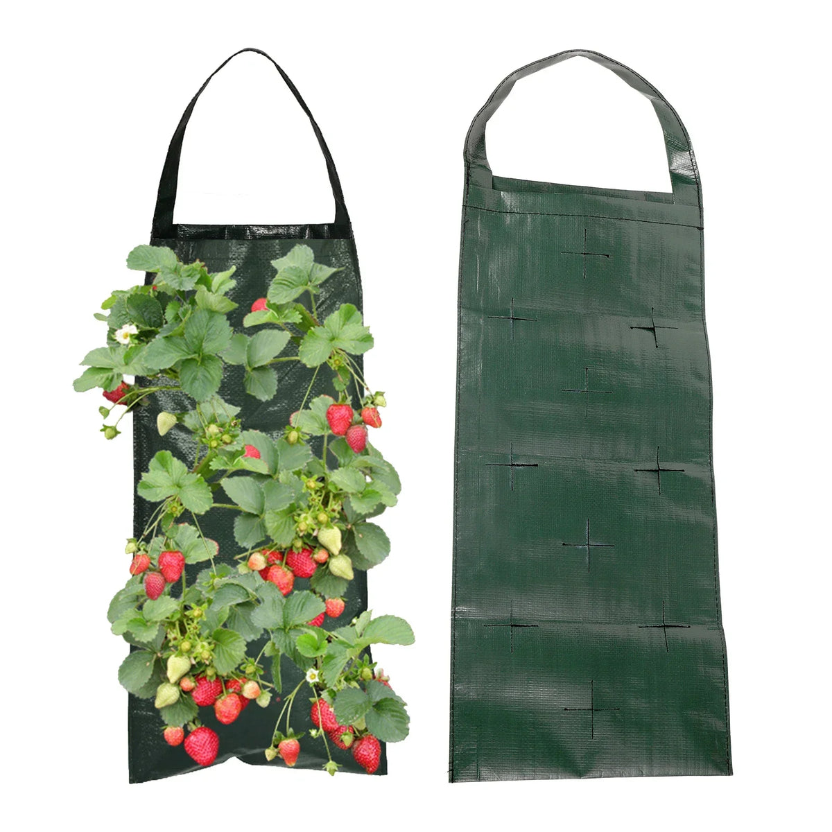 Zevolim| VertiBloom Wall Planting Bag for Strawberries & Herbs | 6/8/10 Pockets | Vertical Garden Planting Bag made of PE for Indoor & Outdoor