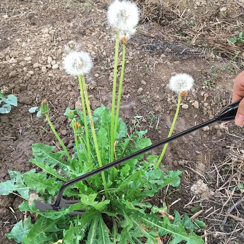 Zevolim| Weed removal tool with 4 prongs – Garden hoe tool