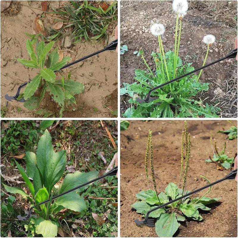 Zevolim| Weed removal tool with 4 prongs – Garden hoe tool