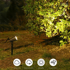 Zevolim| Solar Energy Garden Spotlight - LumaSpot