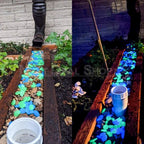 Zevolim| Glow-in-the-Dark Garden Pebbles