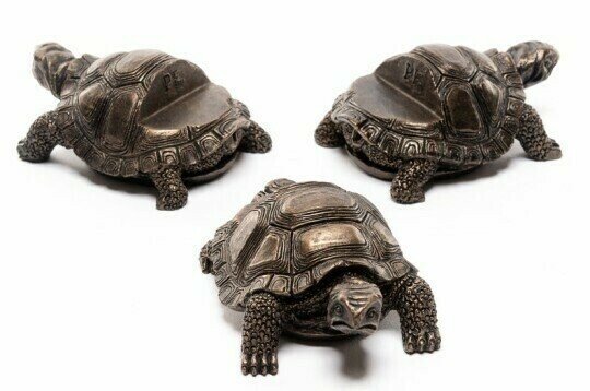 Zevolim| Potty Feet Plant Pot Feet