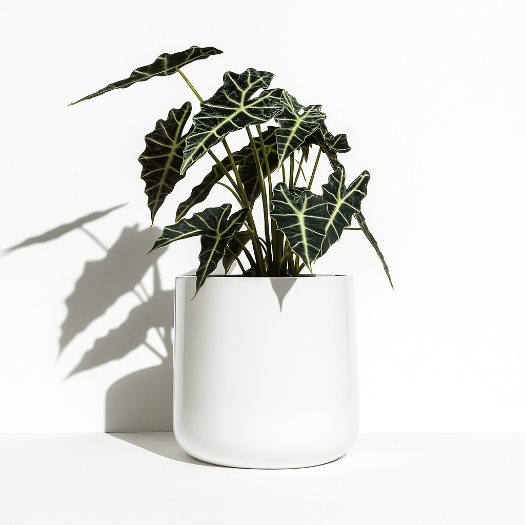 Ainslie Fiberglass Planter - Mid-Century Modern Glossy Bullet Pot, Outdoor / Indoor (10" / 13" / 16")