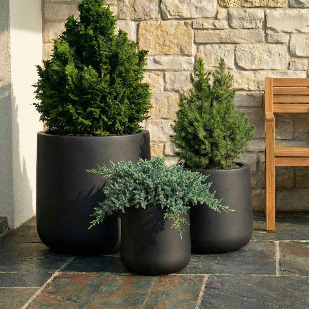 Ainslie Organic Modern Cylinder Planter - Tapered Matte Fiberglass - Outdoor / Indoor (9.5" / 13" / 16.5" Tall)