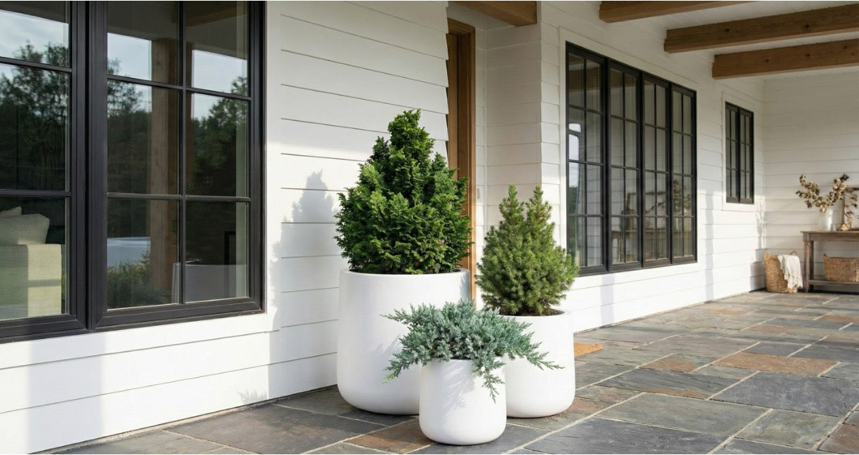 Ainslie Organic Modern Cylinder Planter - Tapered Matte Fiberglass - Outdoor / Indoor (9.5" / 13" / 16.5" Tall)