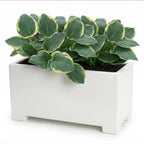 Alora Fiberglass Rectangle Planter - Long Block, Gloss White - Indoor / Outdoor (13"/ 19" / 24")