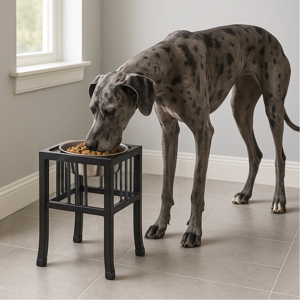 Baron Single Diner 18" Tall XL - Wrought Iron Stand, Elevated Dog Bowl Food, Water
