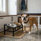 Baron Tilted Double Bowl Diner - Modern Wrought Iron Stand w/ Slanted Dog Bowls (5.5" / 8" H)