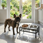 Baron Tilted Double Bowl Diner - Modern Wrought Iron Stand w/ Slanted Dog Bowls (5.5" / 8" H)
