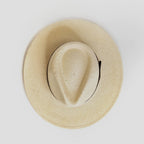 Modern Minimalist Straw Fedora Hat – Coffee | Zevolim
