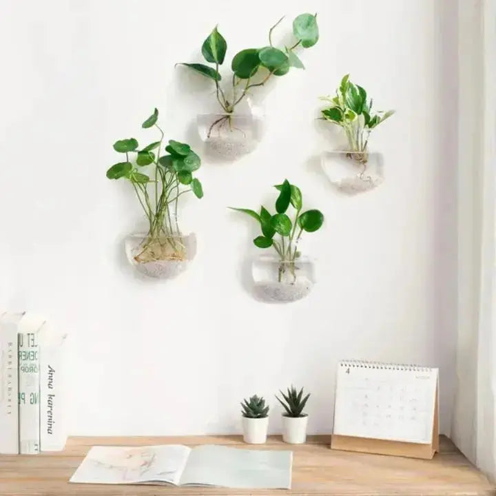 GlasOase — Bring Your Walls to Life with Fresh Nature Power and Style