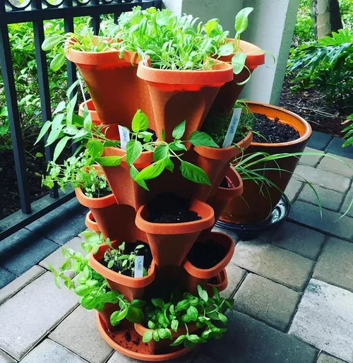 Zevolim| Vertical Garden - PlantStack - Space-saving - Green Grid Solution