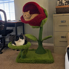 Monster Petal Cozy Cat Climbing Tower Bed